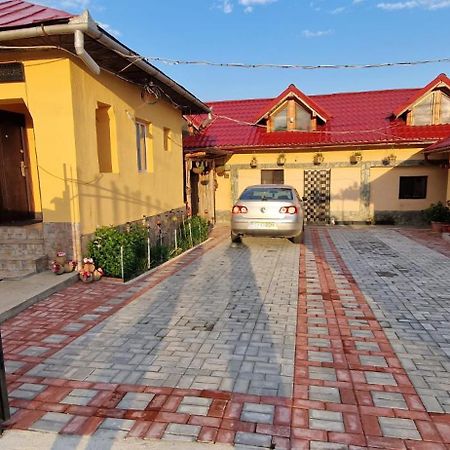 Casa Andreea Hotel Novaci-Straini Luaran gambar
