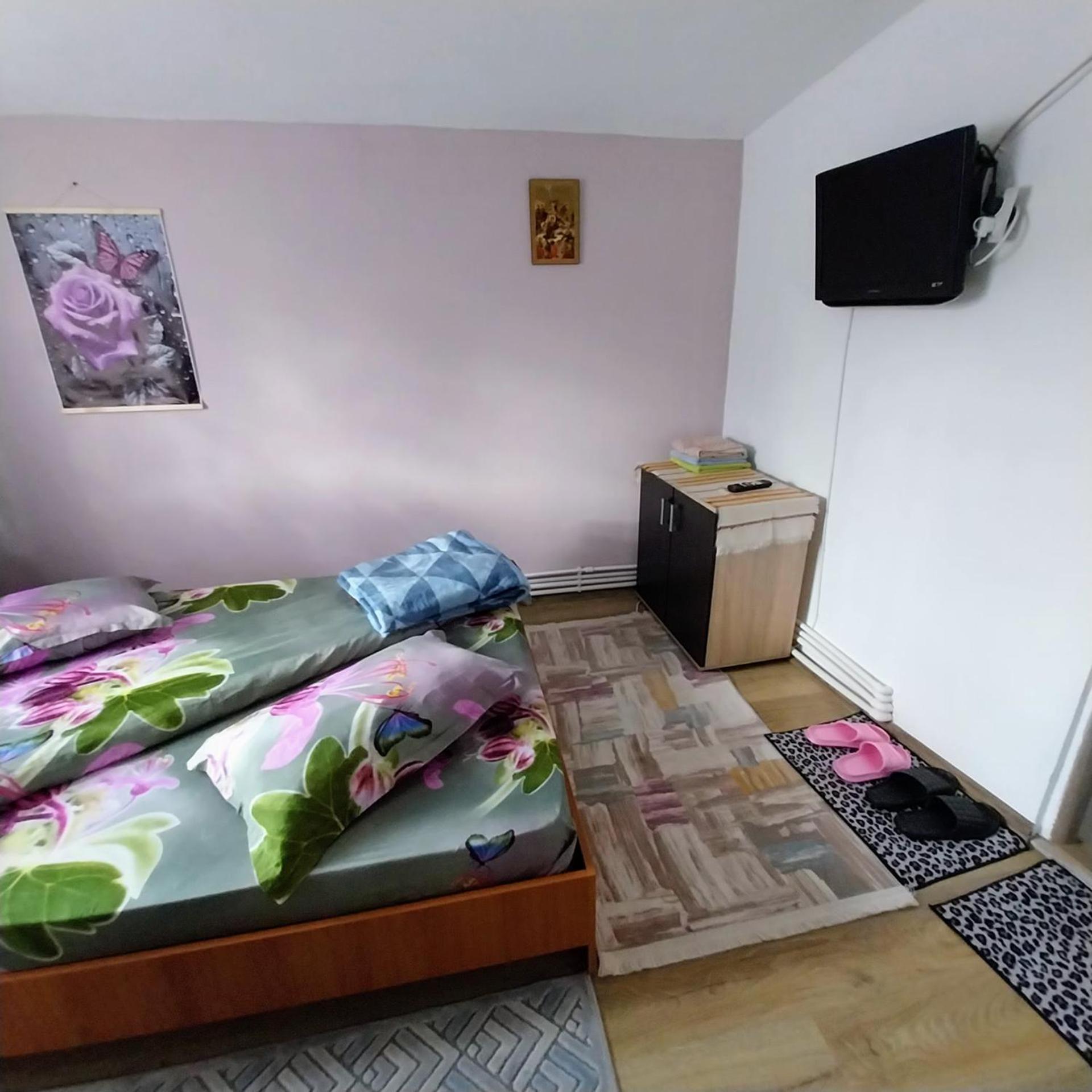Casa Andreea Hotel Novaci-Straini Luaran gambar
