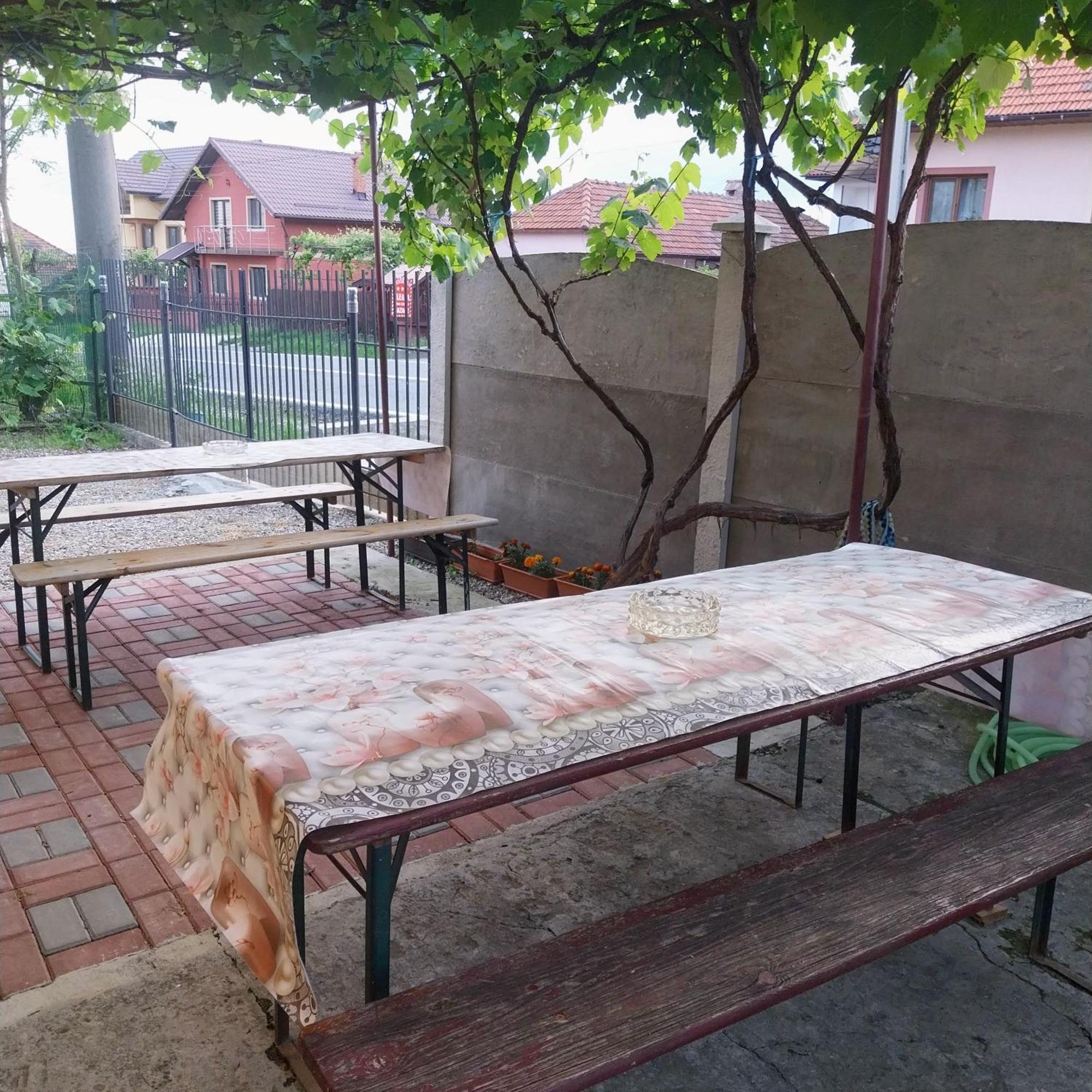 Casa Andreea Hotel Novaci-Straini Luaran gambar